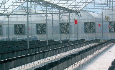 אוורור לחממות